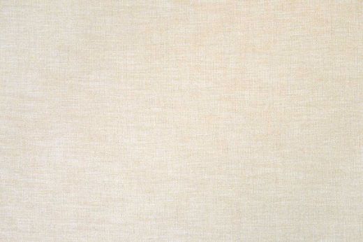 Denali Plain Woven Fabric in Ecru, showcasing a soft, neutral beige tone with a textured finish, perfect for versatile, understated elegance in any interior.